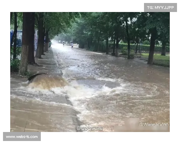 武汉遭遇强降雨,多所高校校园出现积水,学生“跋山涉水”上学 武汉遭遇强降雨,多所高校校园出现积水,学生“跋山涉水”上学